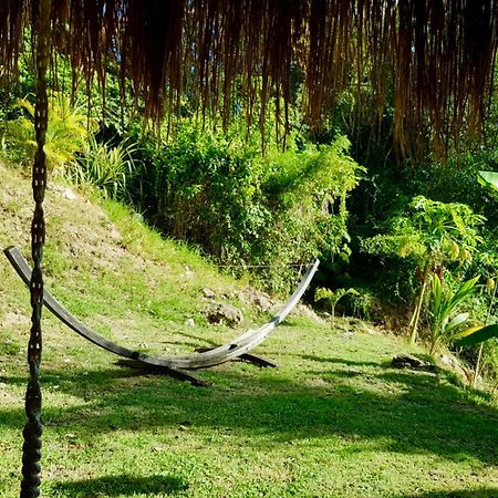 Apartmán Cocotier, Elegant T3 Avec Jardin Tropical Sainte-Anne Exteriér fotografie