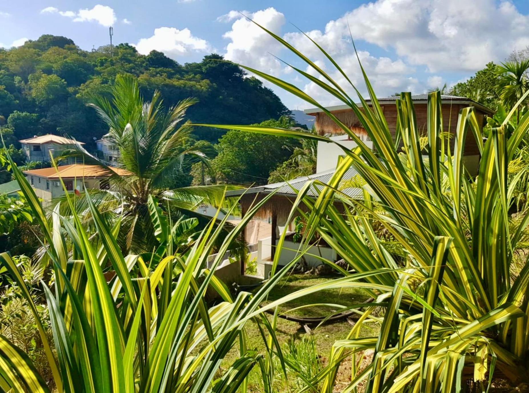 Apartmán Cocotier, Elegant T3 Avec Jardin Tropical Sainte-Anne Exteriér fotografie